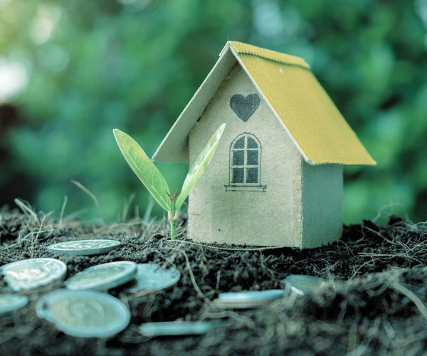 legacy living bd vision